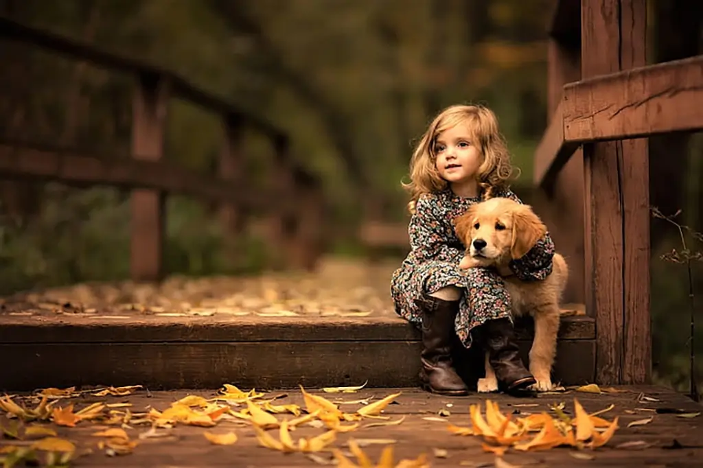 little girl labrador retriever dog animals wallpaper preview