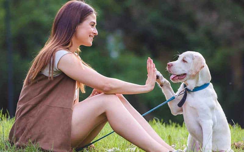 10 Adorable Signs That Your Dog Truly Loves You Fur-Ever