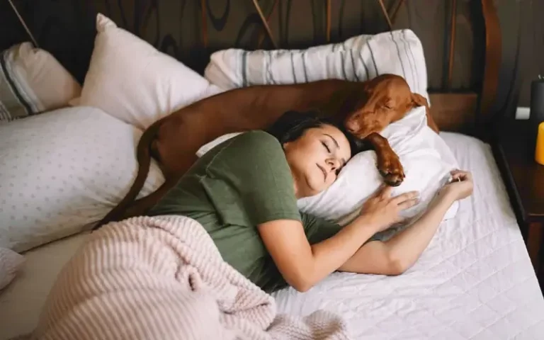 Is-It-OK-to-Let-Your-Dog-Sleep-in-Bed