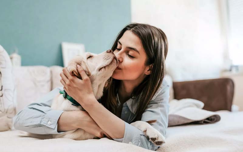 Dog behavior and kisses