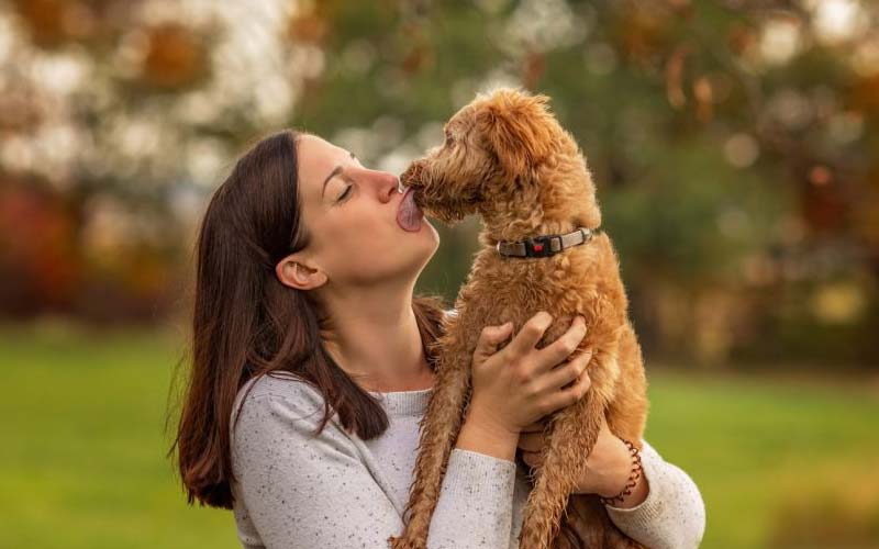 Canine affection